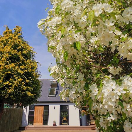 Hastings Casita, 'Little House' Self Contained Garden Lodge, Close To Town And Seafront Екстер'єр фото